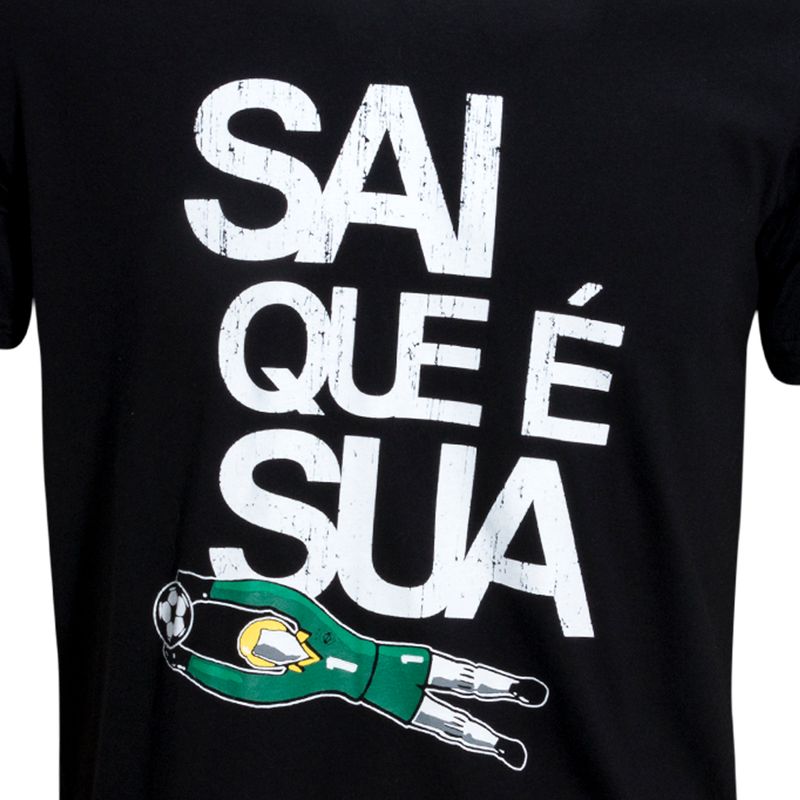 saiP_2