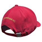 bonflu-gre2