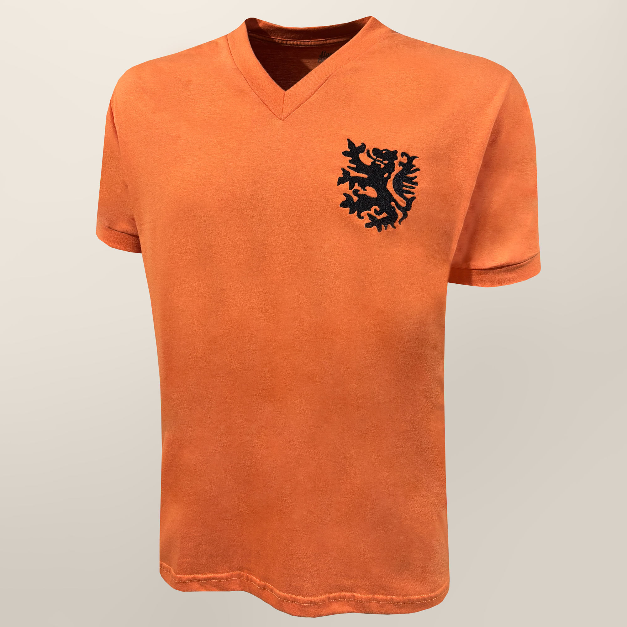 HOLANDA 1974 #14